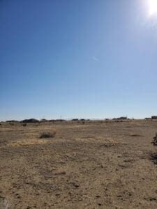 A desert area with some animals in the distance.