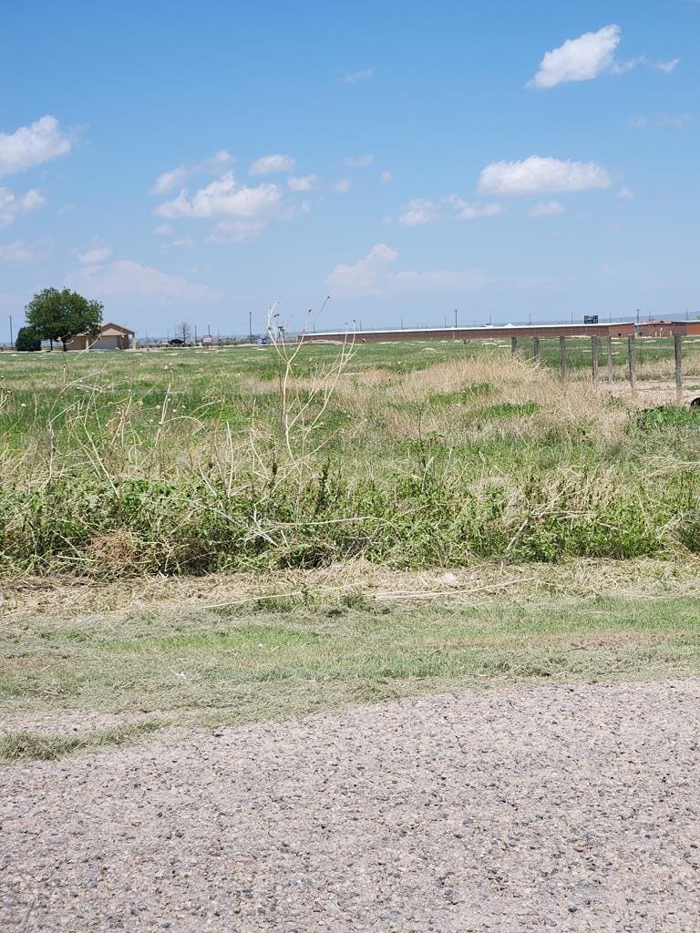 Grassy field with a gravel road.