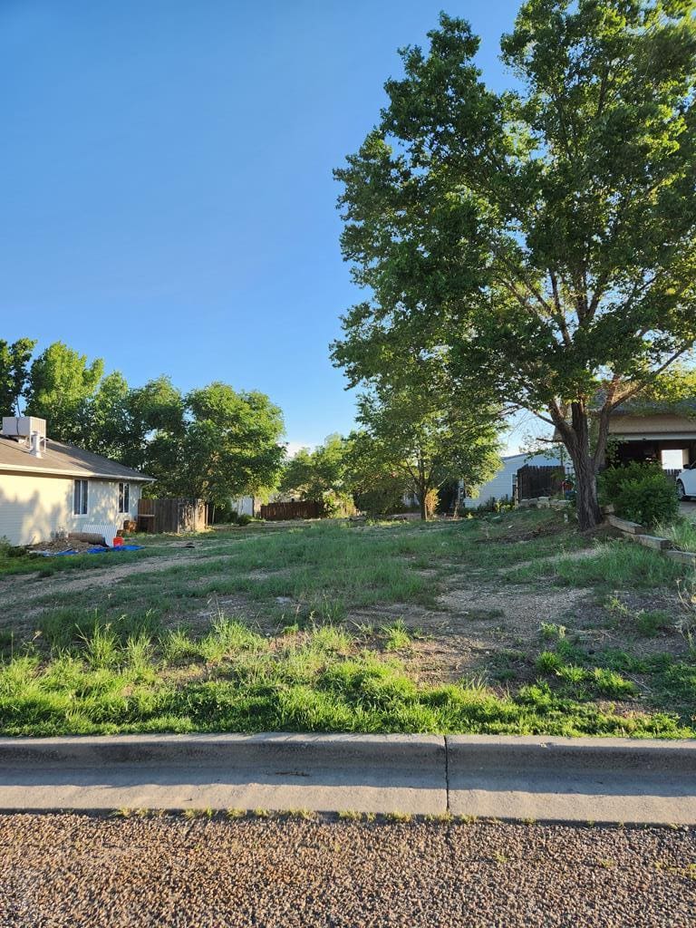 Empty lot with grass and curb.