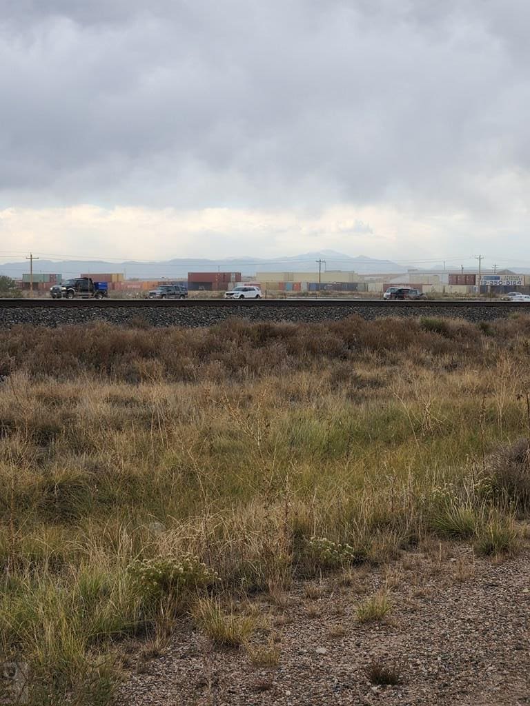 Grassy field with railroad tracks and cars.